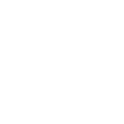 CFO Services