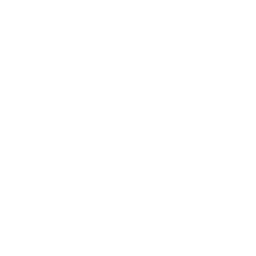 Financial Planning & Analysis