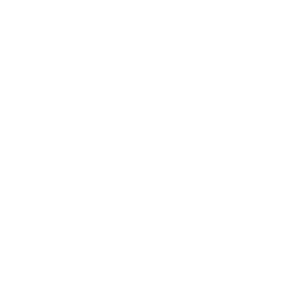 International Tax & Transfer Pricing